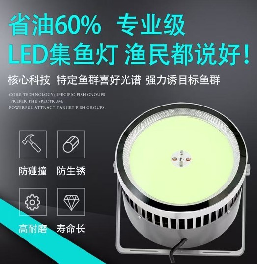 深圳集鱼灯
